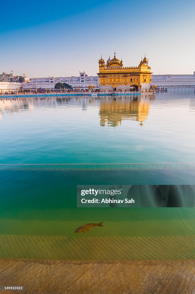 Golden Temple with fish