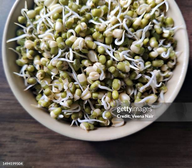 close-up of green gram/ mung bean/green gram sprout in a ceramic bowl on a wooden table - taugé stockfoto's en -beelden