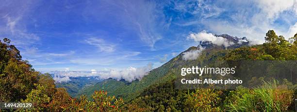 kinabalu national park - kota kinabalu stock-fotos und bilder