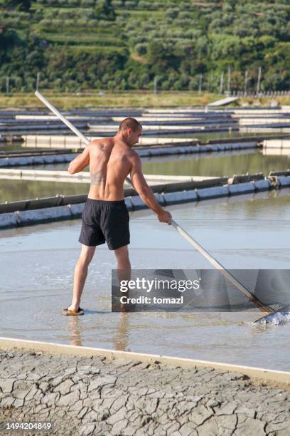 preparación de salinas - sales occupation fotografías e imágenes de stock