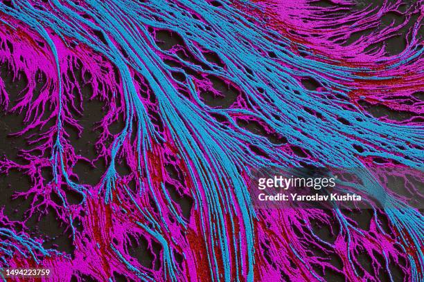 retina  multicolor pattern cgi- stock photo - retina stock pictures, royalty-free photos & images