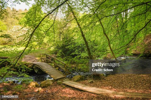 Small Bridge Spring Small Bridge Over Creek Photos and Premium High Res Pictures - Getty Images