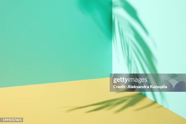 minimal empty mint green and pastel yellow 3d room background. modern studio showcase, product display, stage with natural tropical palm tree shadow - mint green stock pictures, royalty-free photos & images