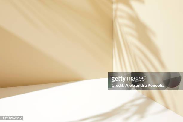 minimal empty pastel beige, cream, white 3d room corner background with natural tropical plants shadows. modern studio showcase, product display, neutral colored stage with copy space. - palm tree white background stock pictures, royalty-free photos & images