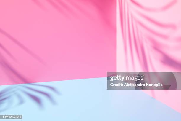 minimal empty pastel pink and light blue 3d room corner background with natural tropical summer plants shadows. modern studio showcase, product display, trendy kawaii colored stage with copy space. - stage light 3d stock pictures, royalty-free photos & images