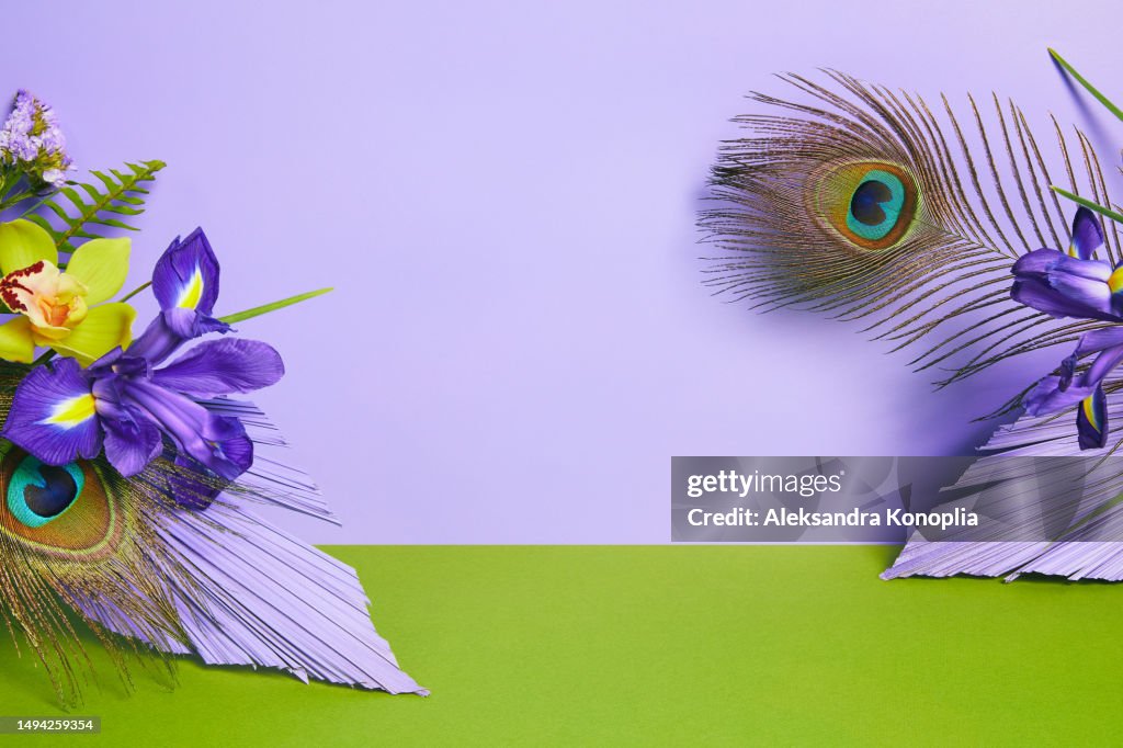 Minimal empty stage with orchid and iris flowers arrangement , peacock feathers on green and lavender purple pastel background with copy space.
