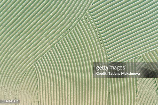 beautiful texture green plaster, abstract background with copy space. - mint green stock pictures, royalty-free photos & images