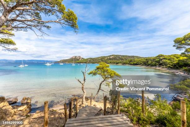 porquerolles island - porquerolles island stock pictures, royalty-free photos & images