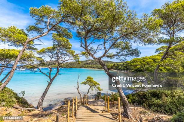 porquerolles island - var fotografías e imágenes de stock