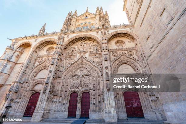 main facade of the new cathedral of salamanca. puerta de ramos. - salamanca fotografías e imágenes de stock