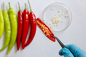 Food quality control of chili specimens of each species in the laboratory.