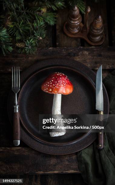 mushroom in plate on table,norway - toadstools stockfoto's en -beelden