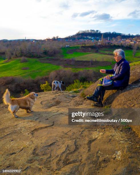 senior man with golden retriever sitting on field against sky,turkey - old golden retriever stock pictures, royalty-free photos & images