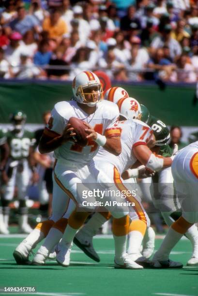 Quarterback Vinny Testaverde of the Tampa Bay Buccaneers drops back to pass in the game between the Tampa Bay Buccaneers vs the New York Jets on...