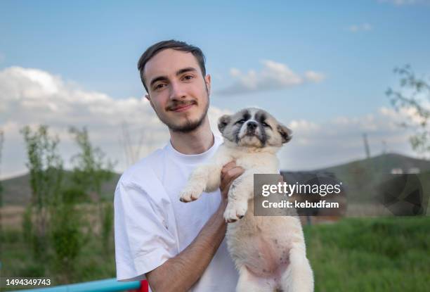 junger mann, der mit welpen beim ausflug in die natur in die kamera schaut - sivas stock-fotos und bilder