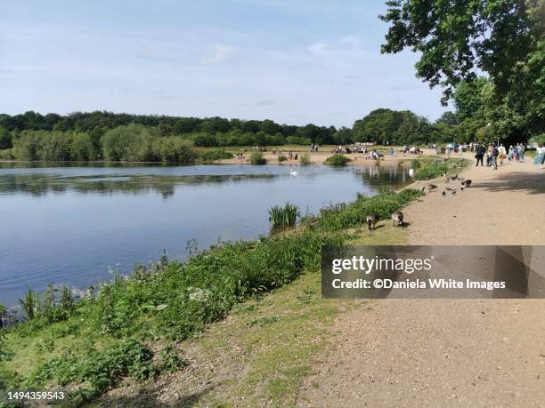 jubilee pond, wanstead flats, park, forest gate, e7, london, uk - daniela stock pictures, royalty-free photos & images