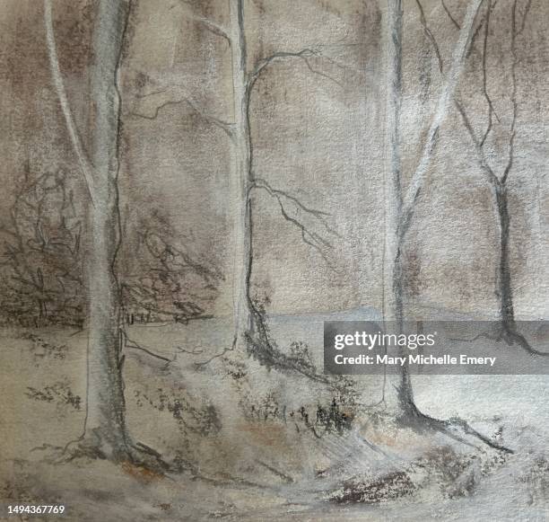 winter forest - clearing snow stock illustrations