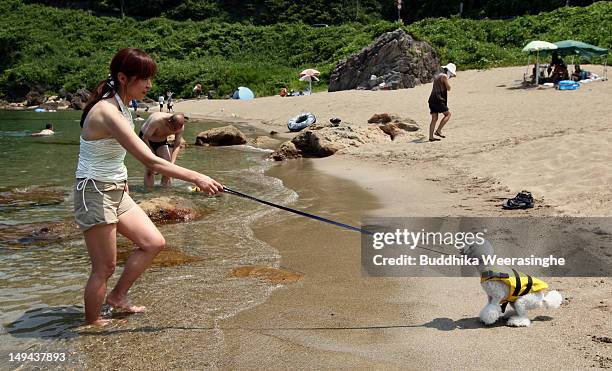 Japanese woman pull her pet dog in the water for bath at Takeno Beach on July 28, 2012 in Toyooka, Japan. This beach is especially open for dogs and...