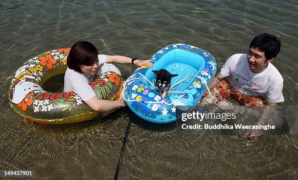 Japanese couple and their pet dog, Maron bath in the water at Takeno Beach on July 28, 2012 in Toyooka, Japan. This beach is especially open for dogs...