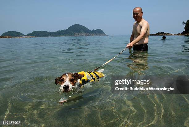 Japanese man and his pet dog, Marine bath in the water at Takeno Beach on July 28, 2012 in Toyooka, Japan. This beach is especially open for dogs and...