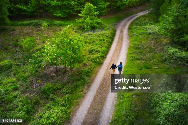 two people walking on dirt road - forest denmark stock pictures, royalty-free photos & images