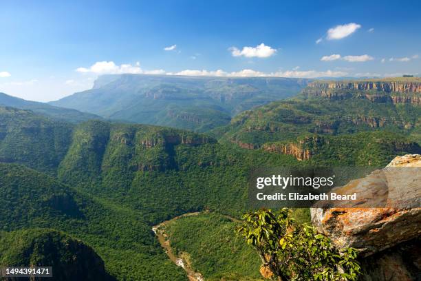 cliff top view of blyde river canyon on panorama route tour - steilanstieg stock-fotos und bilder