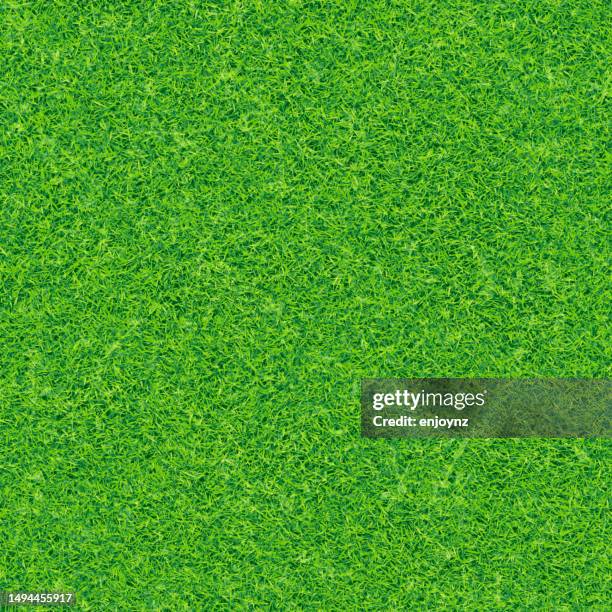 seamless green grass vector background - plains vector stock illustrations