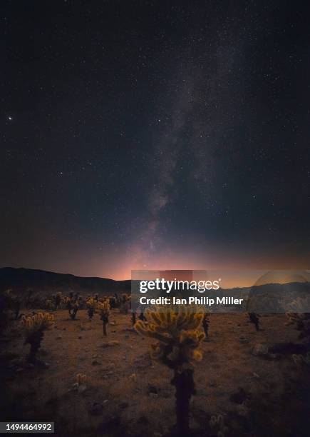 milky way in joshua tree national park - joshua tree national park california stock pictures, royalty-free photos & images