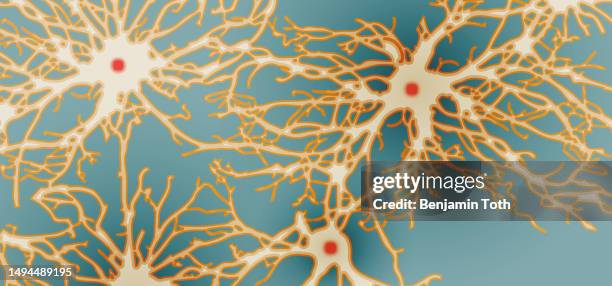Microgenius 69 Micro Genius Stock Photos, High-Res Pictures, and Images - Getty Images