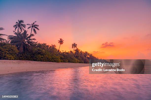 beautiful sunset beach. palm trees on sandy beach the sea, colorful sky. summer holiday vacation, travel tourism. inspirational tropical landscape. tranquil scenery, relaxing beach, tropical landscape - hot summer nights film stock-fotos und bilder