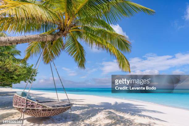 best carefree freedom design at tropical shore coast. swing hanging in palm tree amazing beach scene vacation and summer holiday concept. luxury travel landscape. beachfront, white sand, blue sea, sunny  weather - insel tahiti stock-fotos und bilder