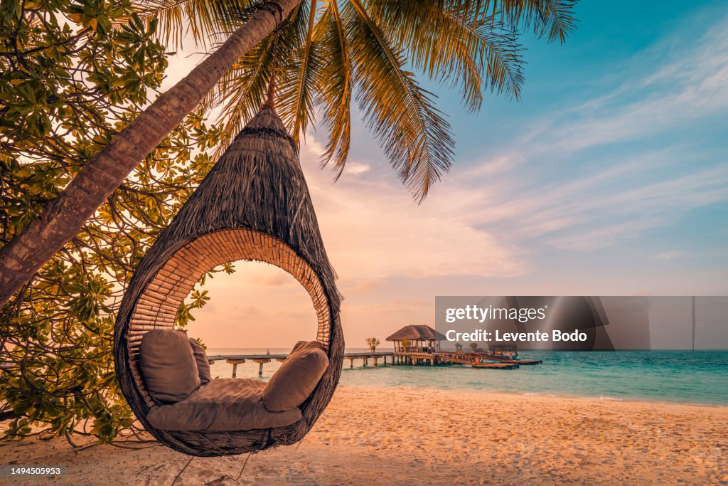 Best dream vacation beach. Beautiful tropical Maldives beach under cloudy sky. Love swings hammock hanging on coconut palm. Luxury vacation concept, tranquil shore coast. Amazing sunset vacation landscape