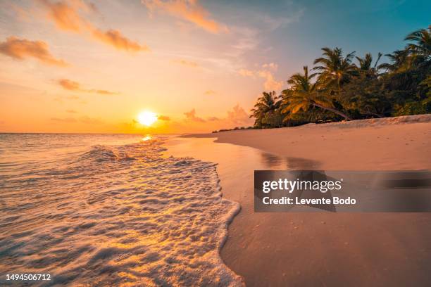 beautiful sunset beach. palm trees on sandy beach the sea, colorful sky. summer holiday vacation, travel tourism. inspirational tropical landscape. tranquil scenery, relaxing beach, tropical landscape - sandy bay fotografías e imágenes de stock