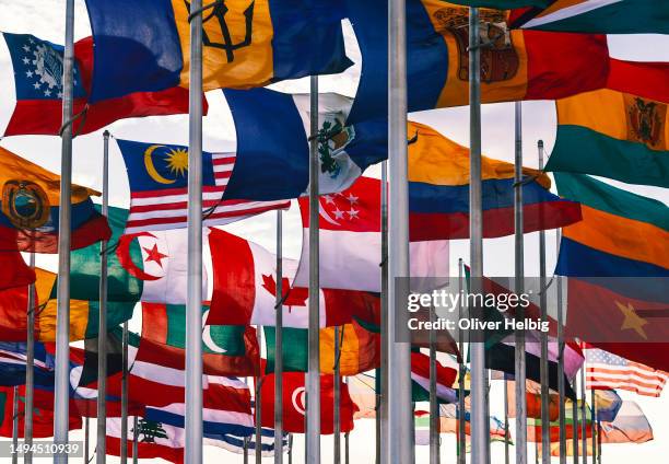 flags of different nations on high flagpoles - nacionalidad fotografías e imágenes de stock