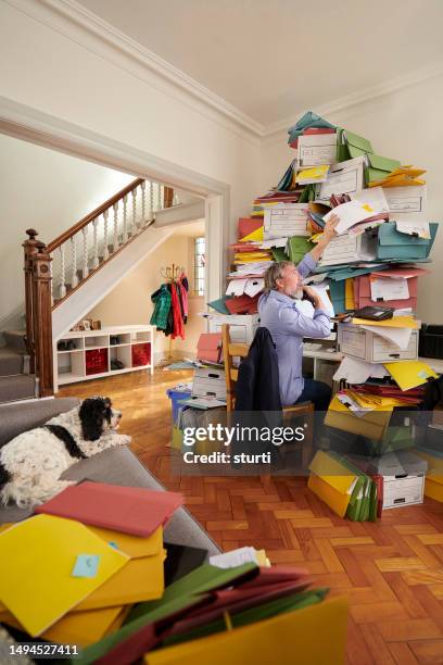 business is booming - work from home funny stock pictures, royalty-free photos & images