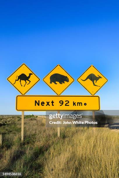 nullarbor plain wildlife warning sign. warning motorists to be aware of camels, wombats and kangaroos on the road. eyre highway. south australia. remote flat landscape. blue sky with copy space. - australian culture stock pictures, royalty-free photos & images