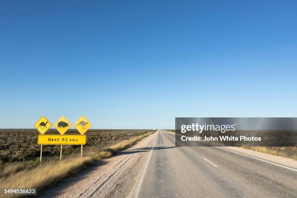 nullarbor plain wildlife warning sign. warning motorists to be aware of camels, wombats and kangaroos on the road. eyre highway. south australia. remote flat landscape. blue sky with copy space. - australian outback animals stock pictures, royalty-free photos & images