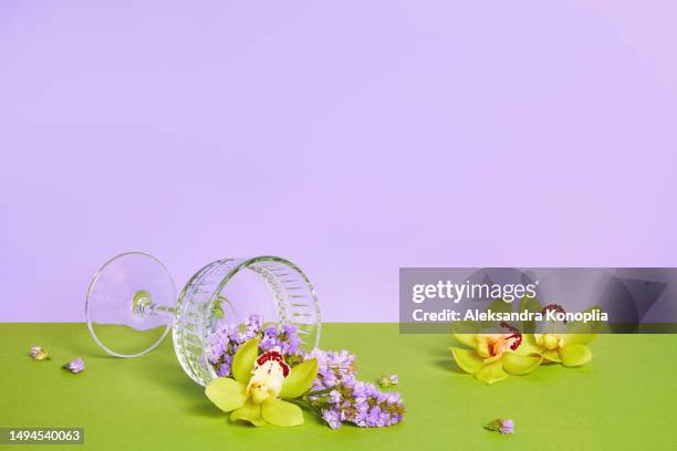 still life scene with composition of lying crystal cocktail glass filled with fresh tropical flowers on solid green and lavender purple pastel background. - crystal glasses stockfoto's en -beelden