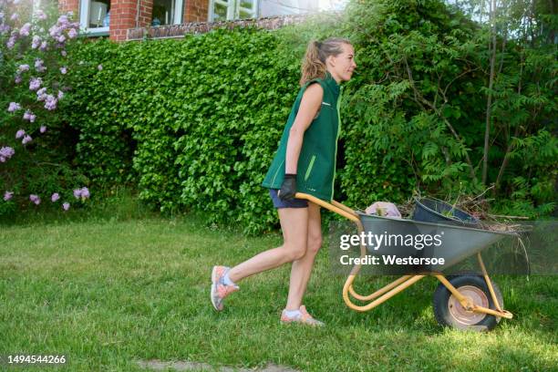 gardener moves a bucket of weeds in a wheelbarrow - kruiwagen stockfoto's en -beelden