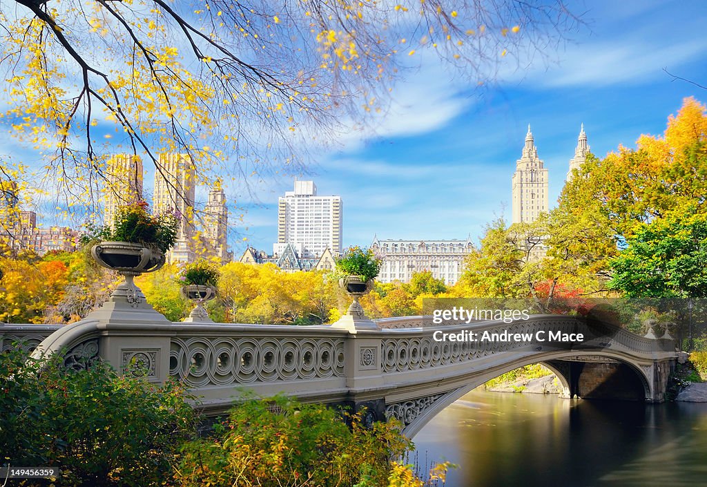 Bow Bridge over Lake