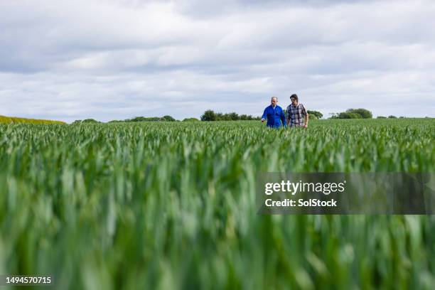 mostrandogli le corde - business sostenibile foto e immagini stock