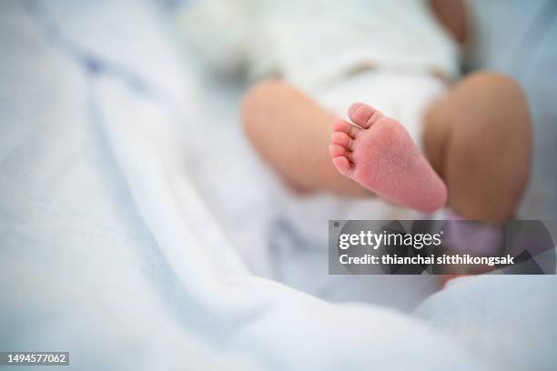 new born,foot of newborn baby on warm blanket. - piede umano foto e immagini stock