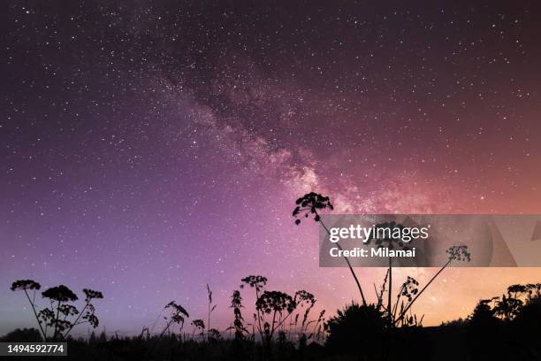 field under the stars and milky way - august stock-fotos und bilder