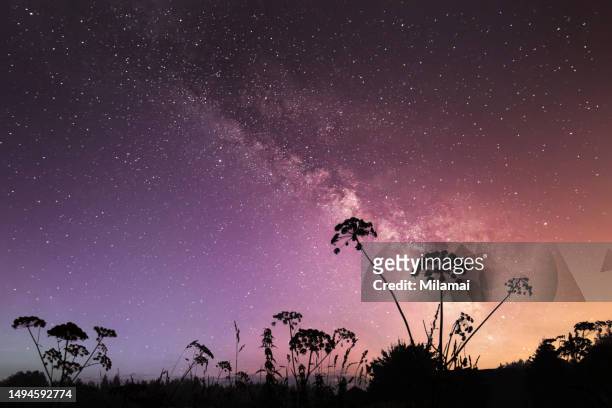 field under the stars and milky way - melkweg stockfoto's en -beelden