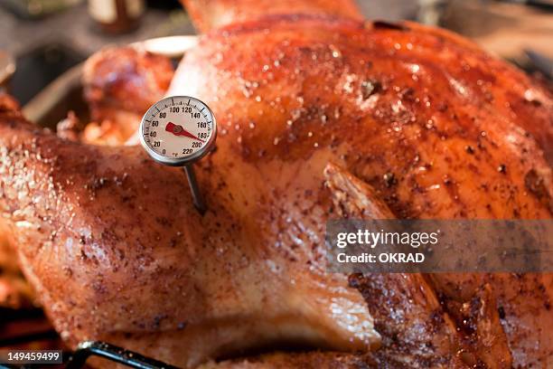 close up shot of thermometer in roasted turkey - thanksgiving indulgence stock pictures, royalty-free photos & images