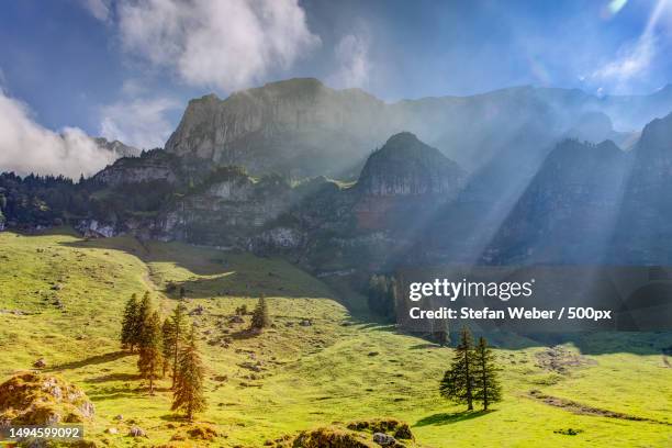 layers of sunlight in the mountains,appenzell innerrhoden,switzerland - appenzell innerrhoden stock pictures, royalty-free photos & images