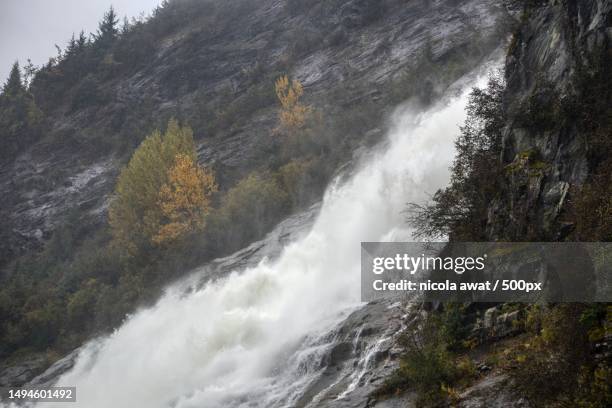 scenic view of waterfall in forest,finland - nickola beck stock pictures, royalty-free photos & images