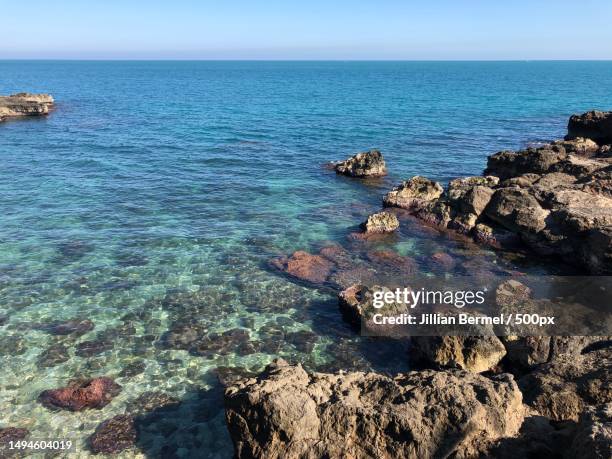 scenic view of sea against clear sky,monopoli,apulia,italy - jillian stock pictures, royalty-free photos & images