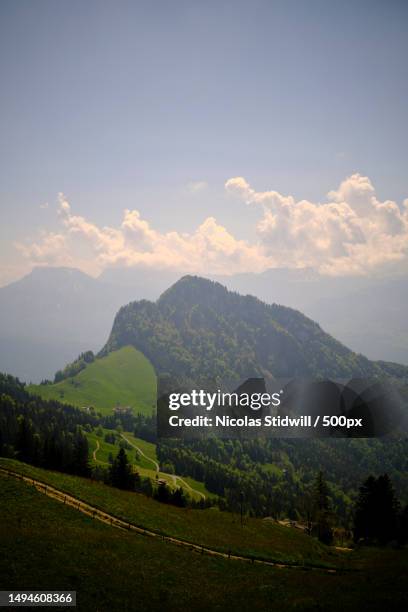 scenic view of agricultural field against sky - nicolas berggruen stock-fotos und bilder