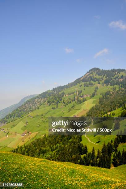 scenic view of field against sky - nicolas berggruen stock-fotos und bilder